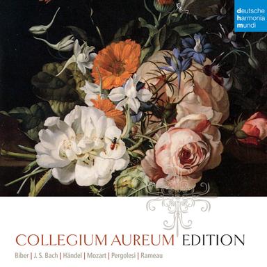 Cantata No. 211: Schweigt stille, plaudert nicht, BWV 211, "Coffee Cantata": Wenn du mir nicht den Coffee läßt (Recitativo)