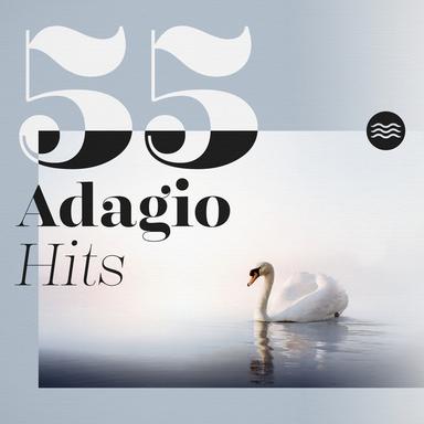 Oboe Concerto in D Minor, Op. 9 No. 2: II. Adagio