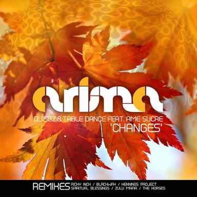 Changes - The Horses Stepped in the Remix