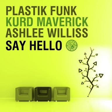 Say Hello (feat. Ashlee Williss)