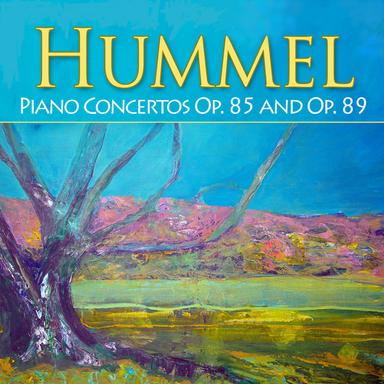 Concerto for Piano and Orchestra in A minor, Op. 85. II. Larghetto