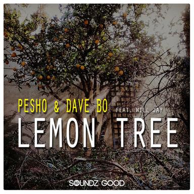 Lemon Tree - Radio Edit