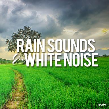 Dark White Noise