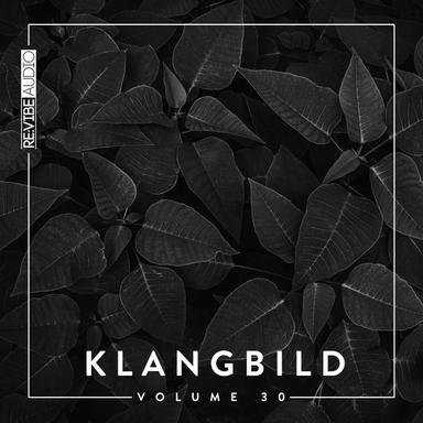 Momo - Original Mix