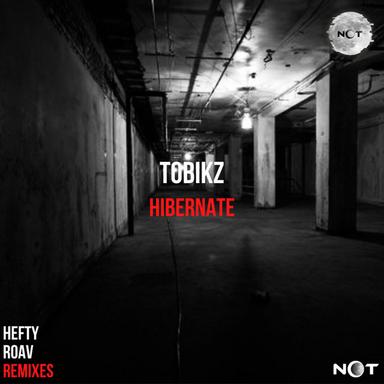 Hibernate - Original Mix
