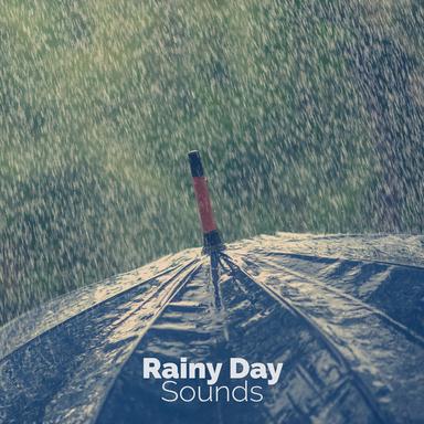 Rain Relaxation