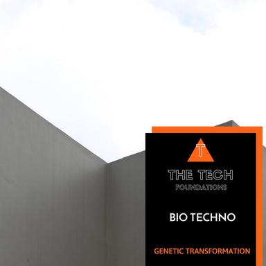 Genetic Transformation - Original Mix