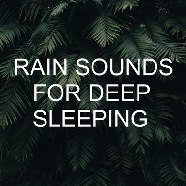 Rainfall Sounds