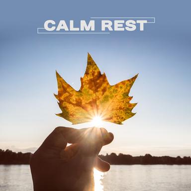 Music to Rest