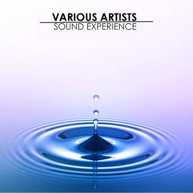 I Want to Be - Loveforce Club Remix