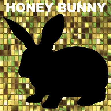 Point - Honey Bunny Remix