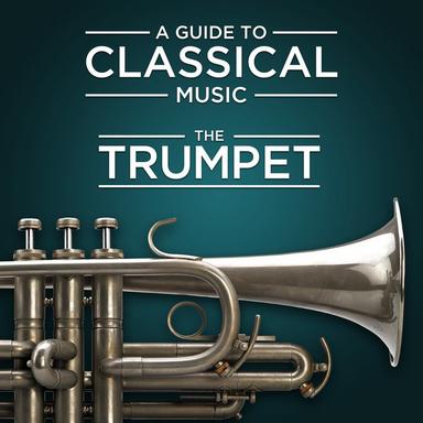 Concerto in D Major for Trumpet and Orchestra: IV. Allegro