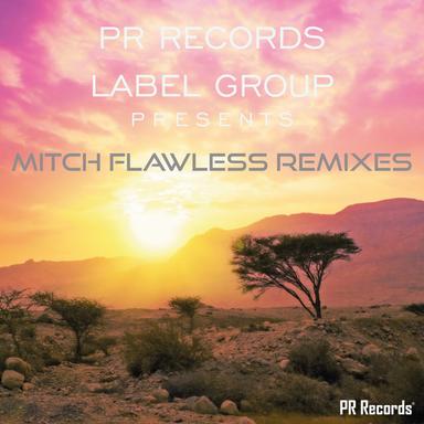 All I Want (Charlies Groove) - Mitch Radio Remix