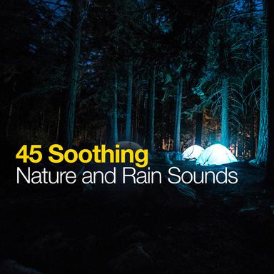 Binaural Bird Songs