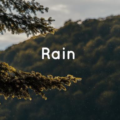 Peaceful Rain