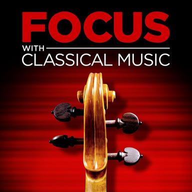 String Quintet No. 3 in G Minor, K. 516 : 1. Allegro