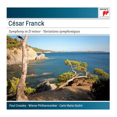 Symphony in D Minor, FWV 48: I. Lento - Allegro non troppo
