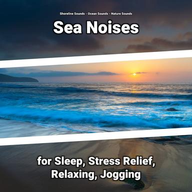 Ocean Sounds for Kids