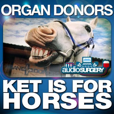 Ket Is For Horses - Original Mix