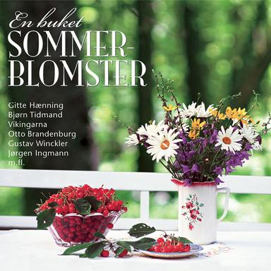 Hvor skal vi sove i nat
