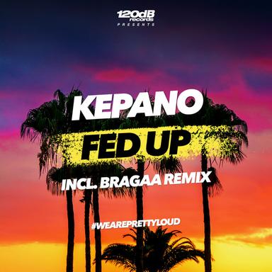 Fed Up - Bragaa Radio Edit