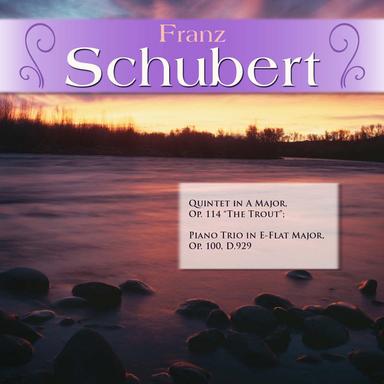 Quintet in A Major, Op. 114 "The Trout": I. Allegro vivace