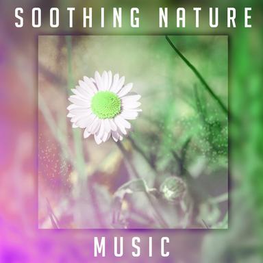 Calm Music