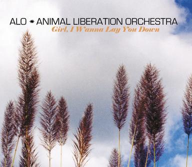 Girl, I Wanna Lay You Down - International Version