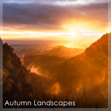 Symphony No. 6 in D Major, Op. 60, B.112: 2. Adagio