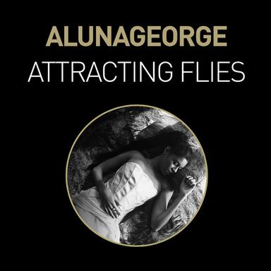 Attracting Flies - Baauer Remix