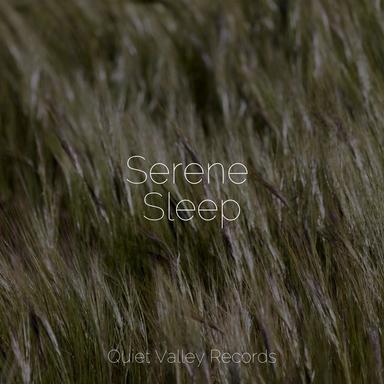 Seaside Air