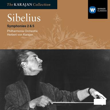 Sibelius: Symphony No. 2 in D Major, Op. 43: III. Vivacissimo