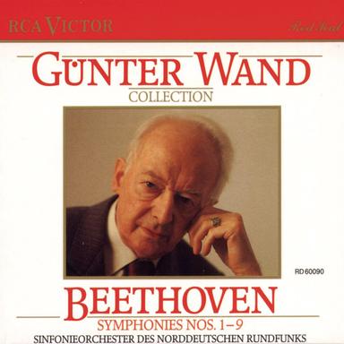 Symphony No. 7 in A Major, Op. 92: Allegretto