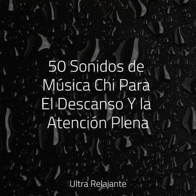 Noche De Invierno Nevada