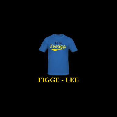 Fel På Sverige