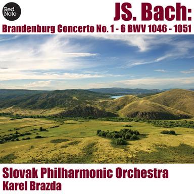 Brandenburg Concerto No. 5 in D major, BWV 1050: I. Allegro
