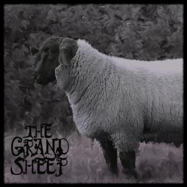 The Grand Sheep