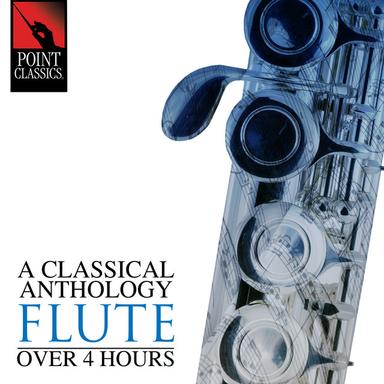 Flute Sonata in D Major, Op. 94: III. Andante