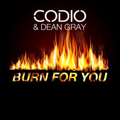 Burn for You - Radio Edit