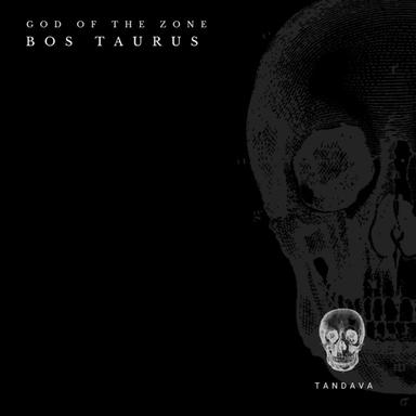 God Of The Zone - Original Mix