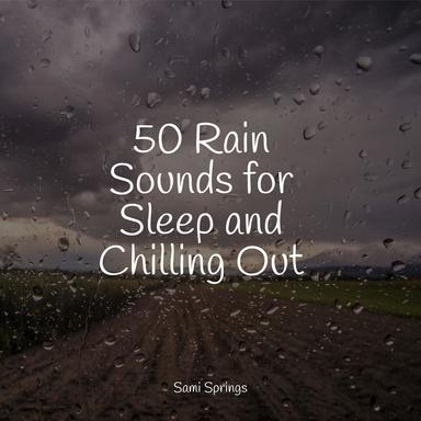 Rainy Night