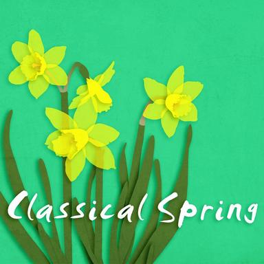 Violin Sonata No. 5 in F Major, Op. 24 "Spring": III. Schezo (Allegro molto)