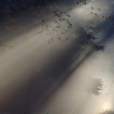 Sueños De La Naturaleza