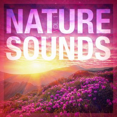 Sounds from a Prairie: Crickets and Cowbells