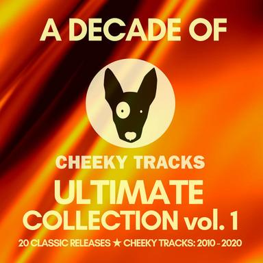 I Wish - Radio Edit
