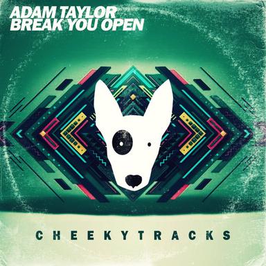 Break You Open - Radio Edit