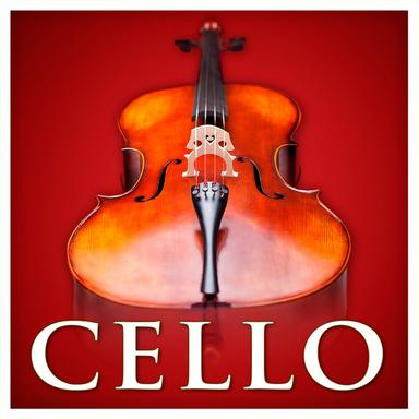 Cello Concerto No. 2 in D Major, Hob. VIIb/2, Op. 101: II. Adagio