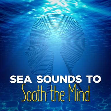 Waves: Summer Sea