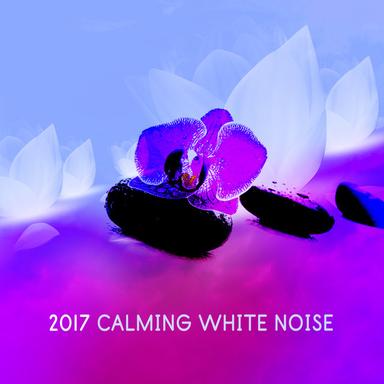 Soothing Noises