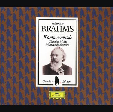 Clarinet Quintet in B Minor, Op. 115: III. Andantino - Presto non assai, ma con sentimento